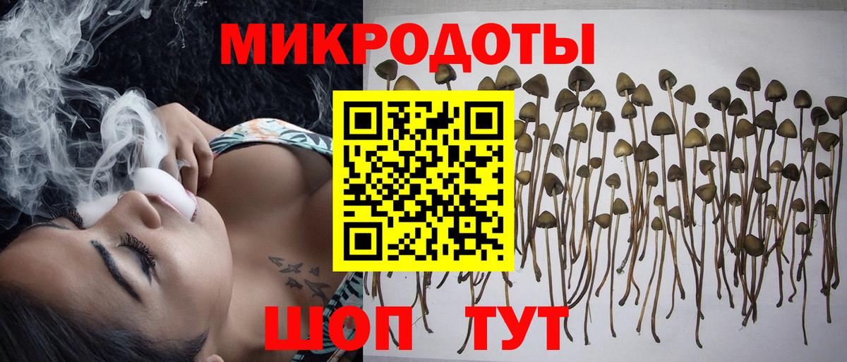 Галлюциногенные грибы Psilocybine cubensis  Галлюциногенные грибы Psilocybine cubensis  Королёв  Вход с VPN 